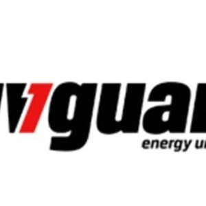 Linguard  energy unlimited