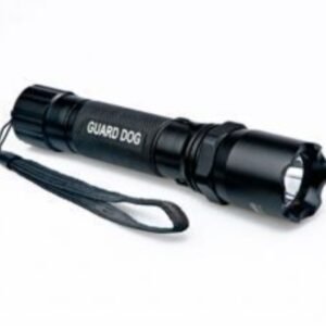 Flashlight Electrical
