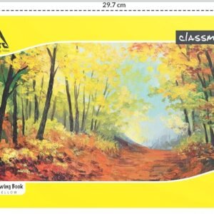 Classmate Drawing Book